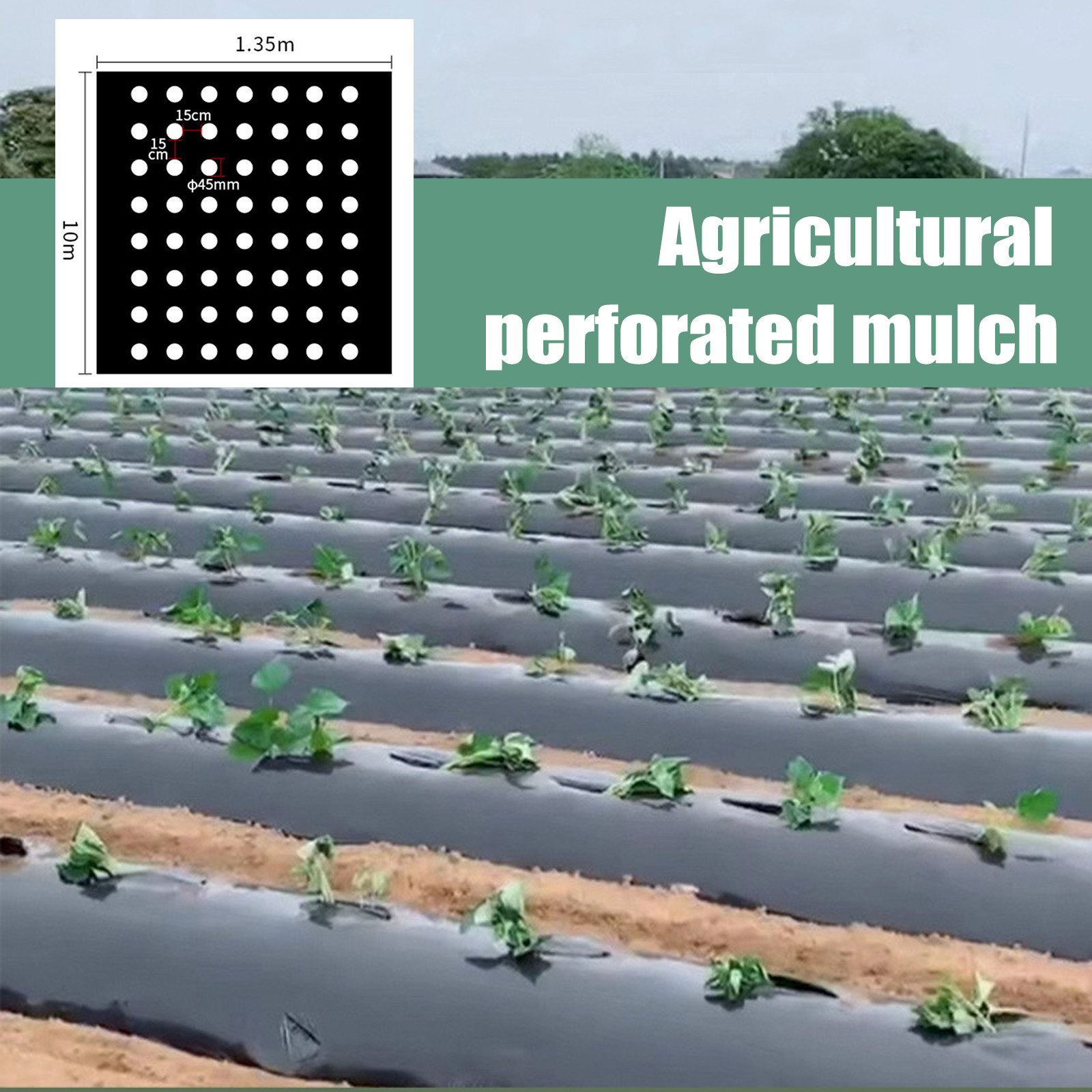 PE Perforated Mulch Film Farm  - đánh giá và giá Greenhouse Plastic Film