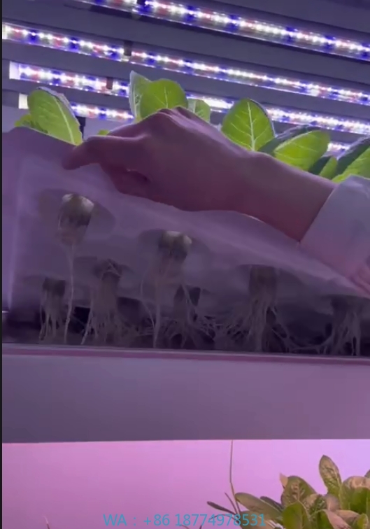 f Greenhouse Agricultural Equi - đánh giá và giá Agriculture Farming Systems