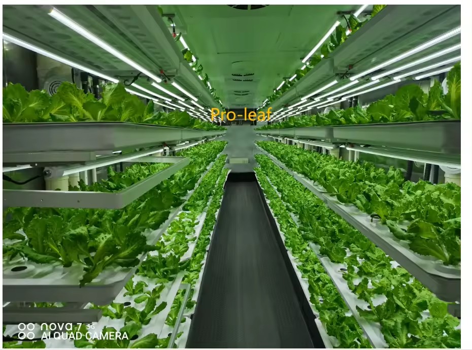 f Greenhouse Agricultural Equi - đánh giá và giá Agriculture Farming Systems
