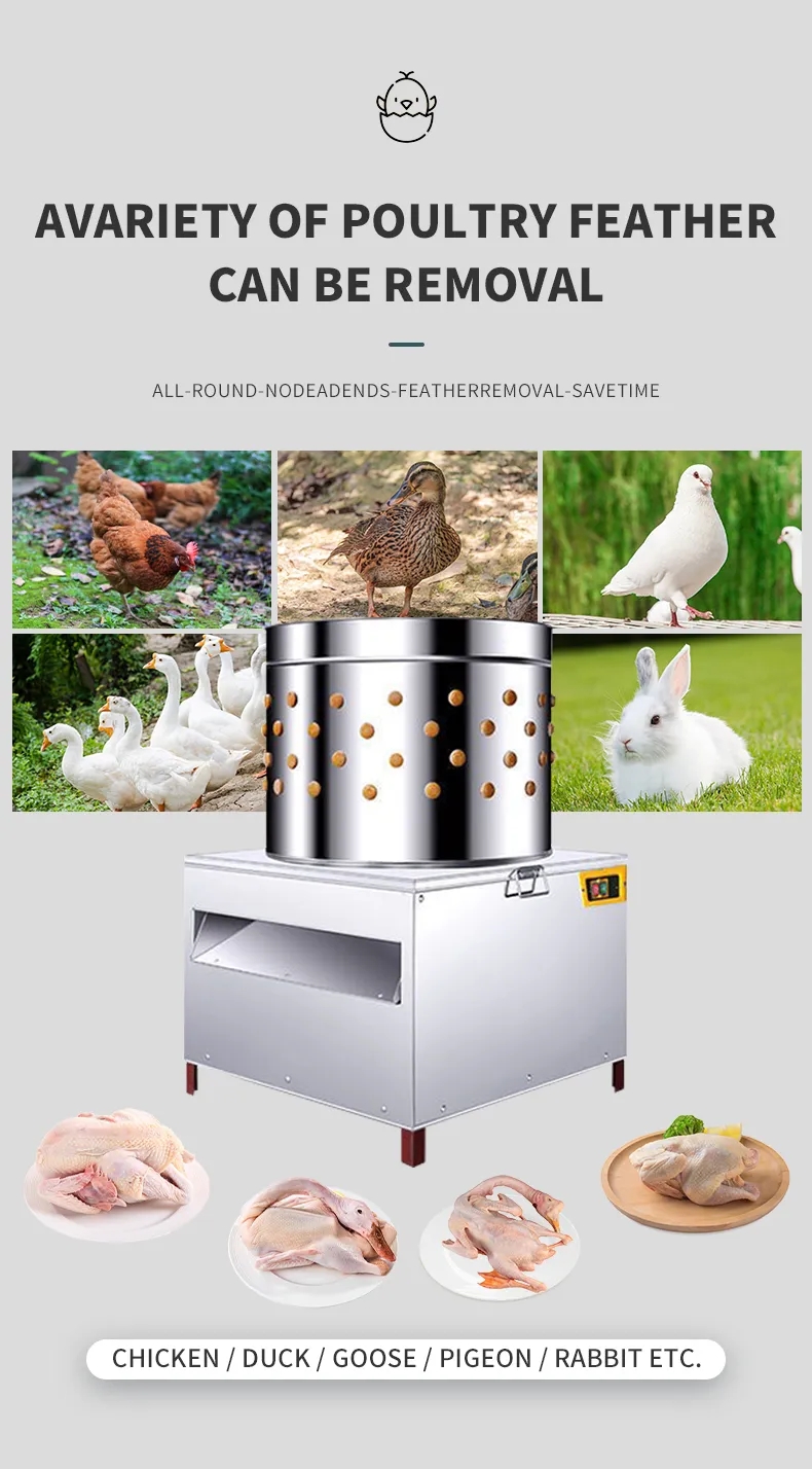 HHD Medium Size SD50 Chicken F - đánh giá và giá Chicken Plucker Machine