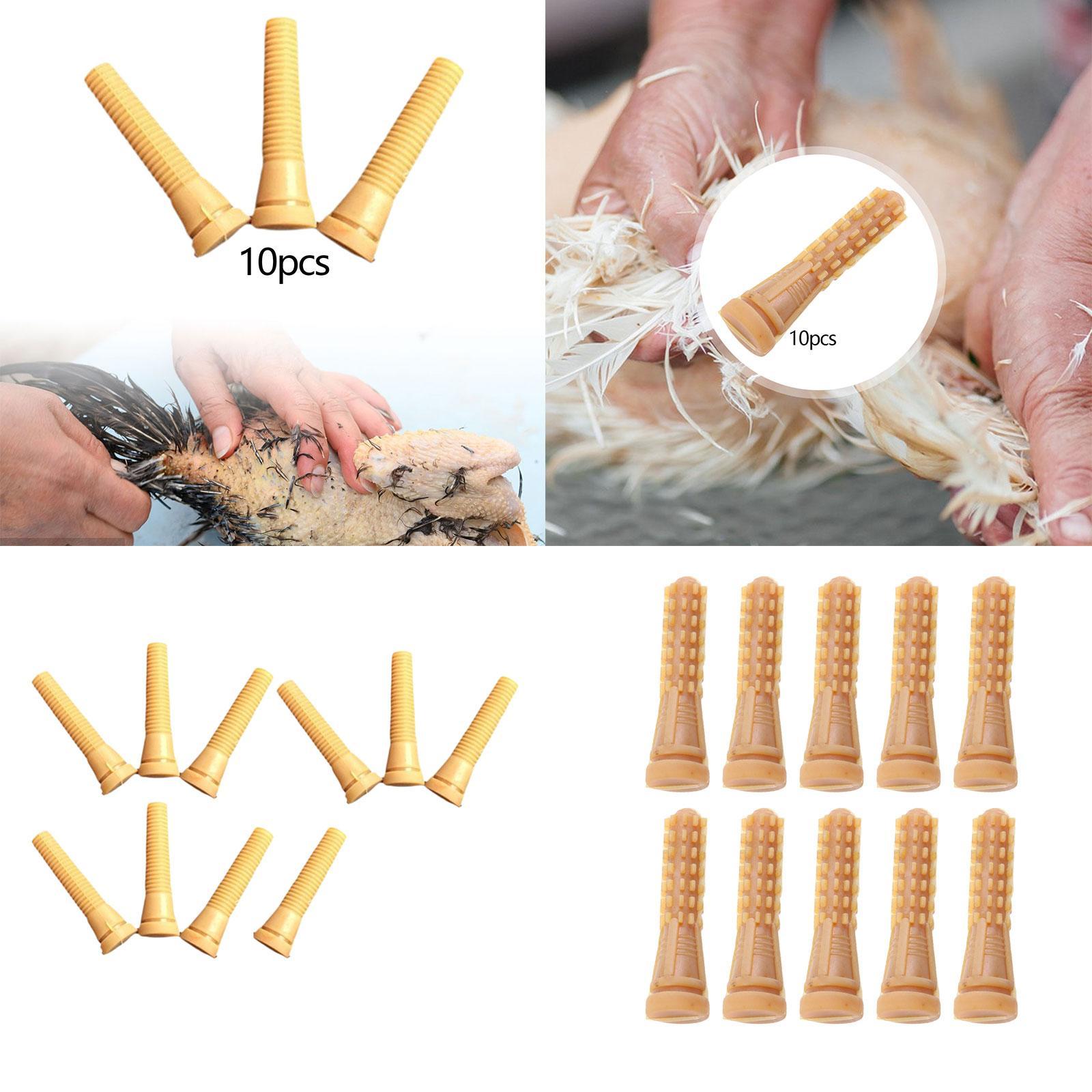 Poultry Plucker Machine Parts  - đánh giá và giá Chicken Plucker Machine