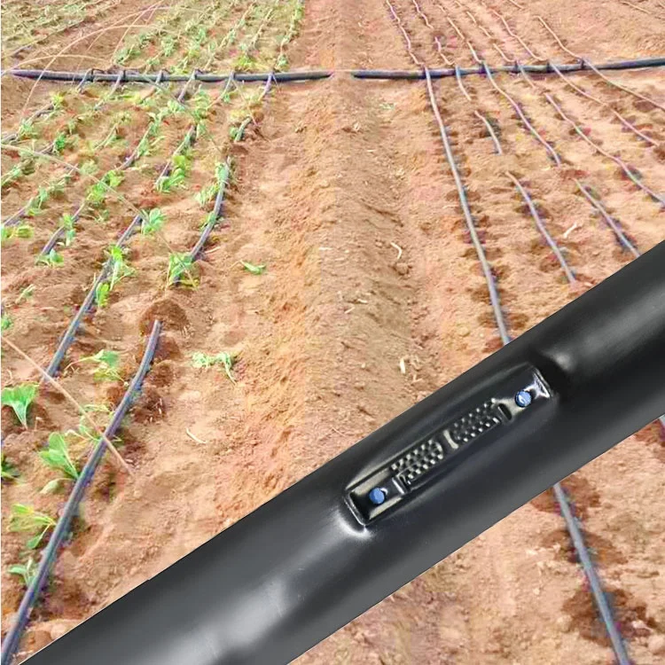 1HA Irrigation Kit Agricultura - đánh giá và giá Agriculture Farming Systems