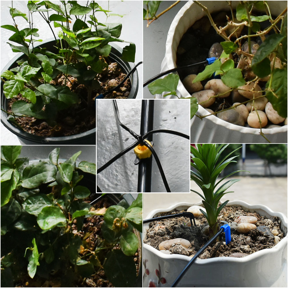 Nhà Kính Trồng Chậu Cong Mũi T - đánh giá và giá Irrigation Drip Tape