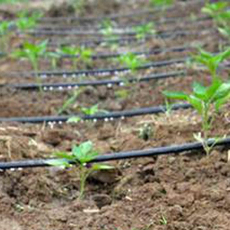 20 40 100 Mét 16 Mm Nông Nghiệ - đánh giá và giá Irrigation Drip Tape