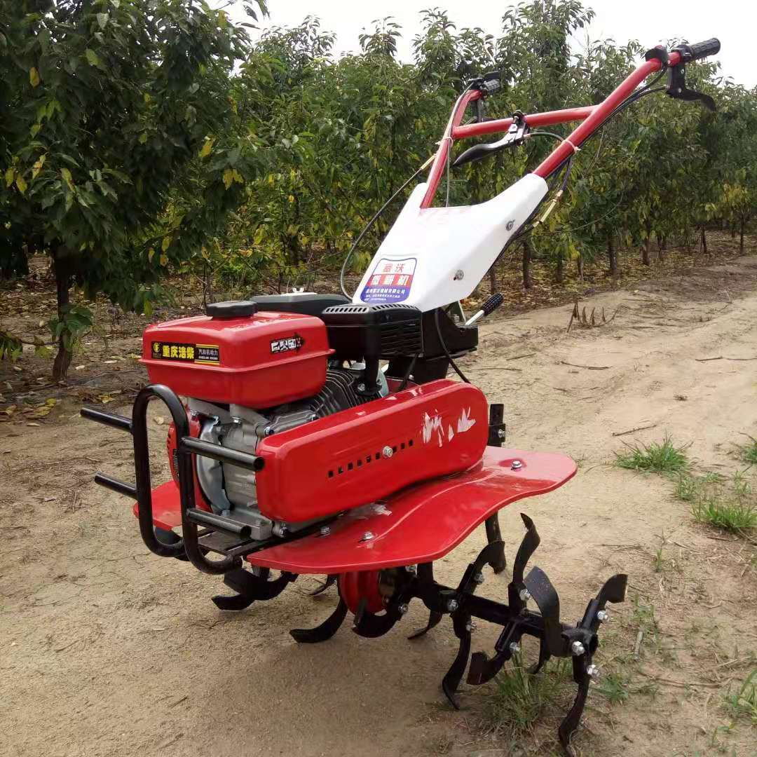 High Productivity Long-Lasting - đánh giá và giá Farming And Agriculture Jobs
