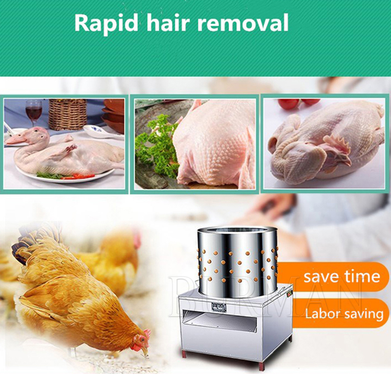 New Quail Pigeons Bird Hair Re - đánh giá và giá Chicken Plucker Machine