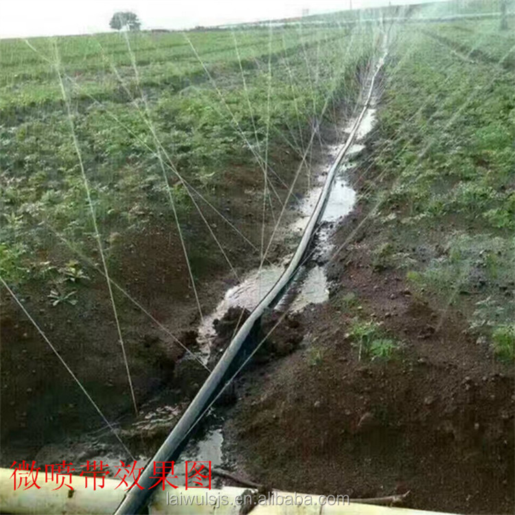 16mm PE Drip Tape Irrigation K - đánh giá và giá Irrigation Drip Tape